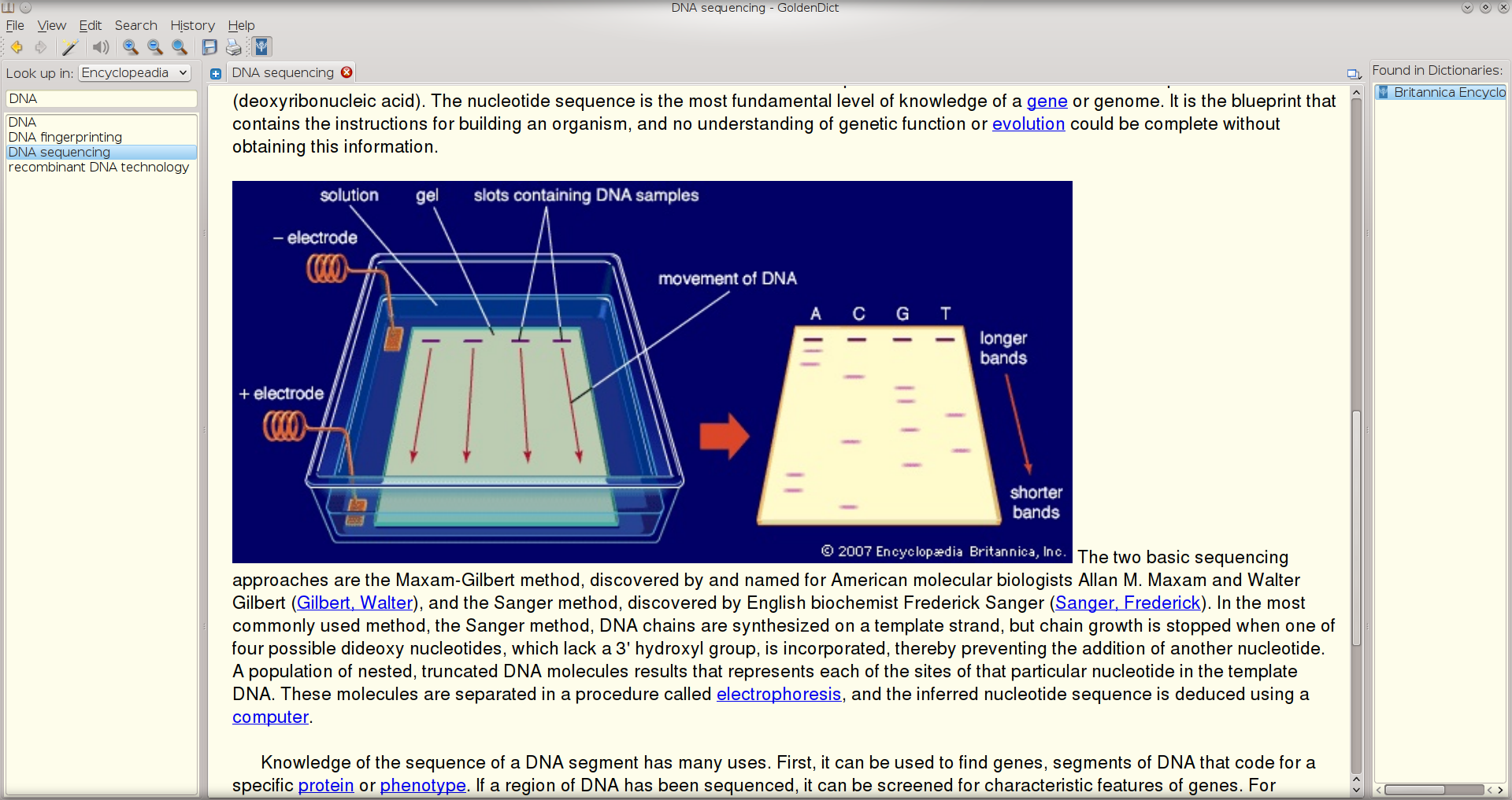 linux_software_goldendict2